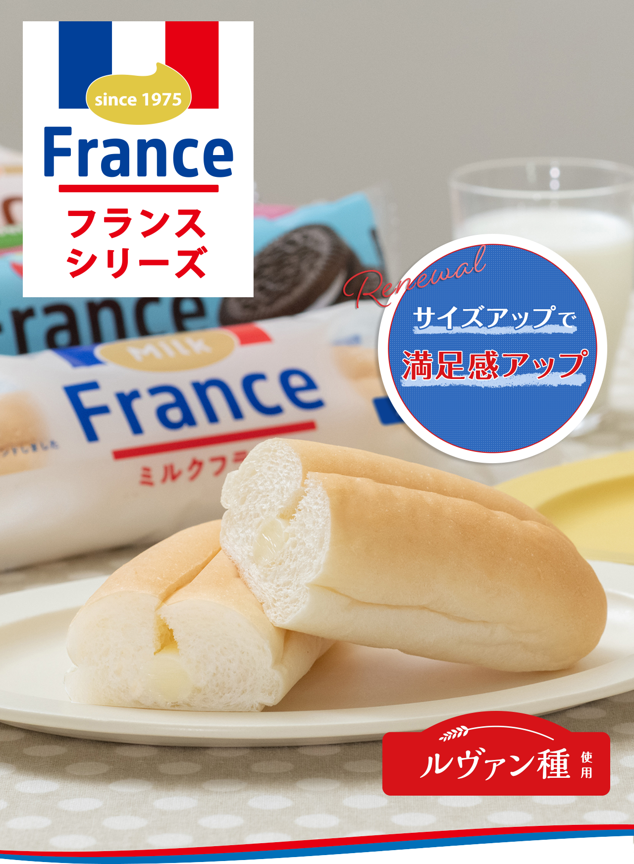 フランスシリーズ リニューアル サイズアップで満足感アップ
