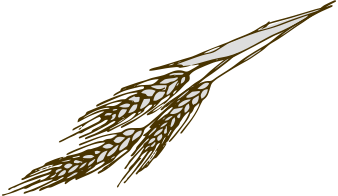 麦の穂のイラスト